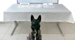 Ağrı'da evinde uyuşturucu bulunan şüpheli gözaltına alındı