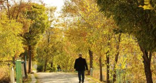Ağrı'da sonbahar güzelliği hayran bırakıyor