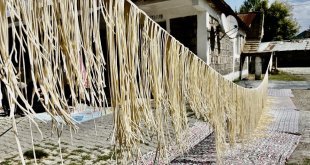 Tel tel iplere dizilen erişteler kış sofraları için hazırlanıyor