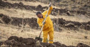 Erzurum'da "100. Yıl Cumhuriyet Ormanı" oluşturuldu