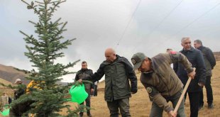 Palandöken'de 4 bin fidan toprakla buluştu