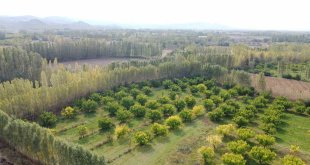 İrem Bağları'nda sonbahar güzelliği