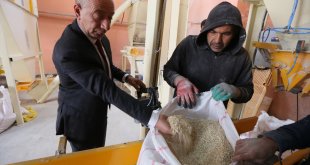 Kars'ta 'yem ezme tesisi' çiftçilerin hizmetine sunuldu