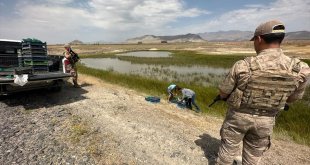 Ağrı'da kurbağa kaçakçılarına para cezası verildi