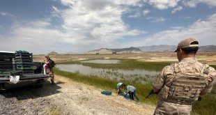 Ağrı'da kurbağa avcılarına rekor ceza