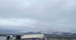 Ağrı'da limon yüklü tır devrildi: 1 yaralı