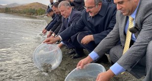 Hazar Gölü'ne 200 bin siraz balığı yavrusu bırakıldı