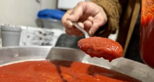 Kış hazırlığı yapan kadınların salça mesaisi başladı