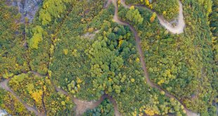 Tunceli'nin ormanlarında sonbahar renkleri hakim oldu