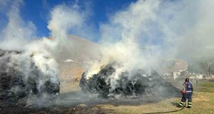 Taşlıçay'da ot yangını