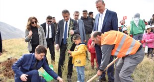 Bitlis'te '100. Yıl Hatıra Ormanı' oluşturuldu