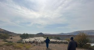 Yaylalardan zorlu dönüşler sürüyor