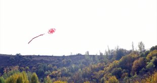 Çatak'ta uçurtma şenliği düzenlendi