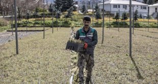 Doğu Anadolu'daki 6 ilde 77 bin 200 fidan toprakla buluşturulacak