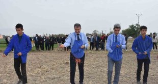 Ziraat okulunda hedef 120 ton buğday üretimi