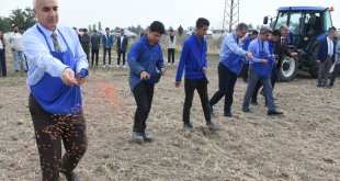 Malatya'da meslek lisesi öğrencileri 200 dekarlık alana buğday ekti