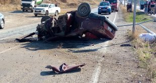 Ağrı'da elektrik direğine çarpan otomobilin sürücüsü yaralandı