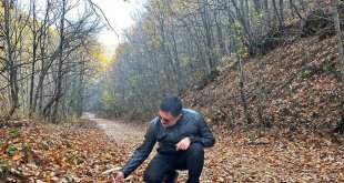 Vali Tekbıyıkoğlu, sonbahar güzelliğine bürünen Salördek'i ziyaret etti