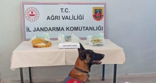 Ağrı'da uyuşturucudan 2 kişi gözaltına alındı