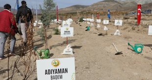Erzincan'da 80 ilden getirilen fidan ve toprakla Cumhuriyet Ormanı oluşturuldu