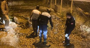 Erzincan'da gübre yığınına batan inek itfaiye ekiplerince kurtarıldı