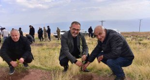 Ahlat'ta çam fidanları toprakla buluştu