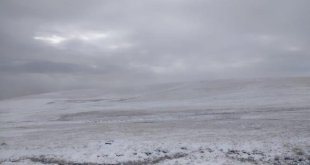 Ardahan'ın yüksek kesimlerinde karla mücadele başladı