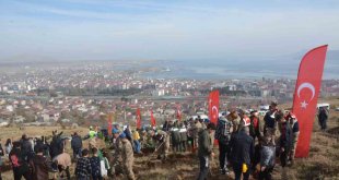 Tatvan'da fidanlar toprakla buluştu