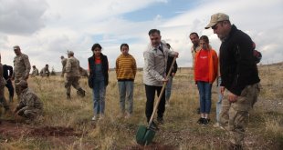 Ahlat'ta 350 çam fidan dikim yapıldı