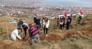 Tatvan'da 500 fidan toprakla buluşturuldu