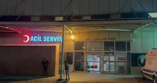 Kars'ta ceviz ağacından düşen muhtar öldü