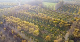 Iğdır'da sonbaharın son demleri göz kamaştırdı