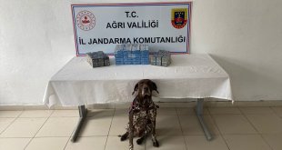 Ağrı'da kaçak akaryakıt ve sigara ele geçirildi