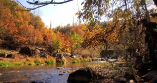 Yüksekova'da sonbahar güzelliği