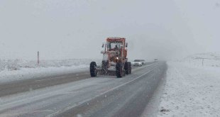 Van'da kar yağışı