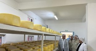Kars'ta süt işletmeleri denetlendi