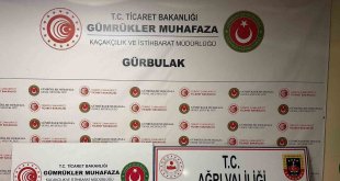 Ağrı'da 70 bin TL değerinde sülük ele geçirildi