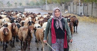 Erzincan'da çiftçi kadın devlet desteğiyle hayvan sayısını iki katına çıkardı