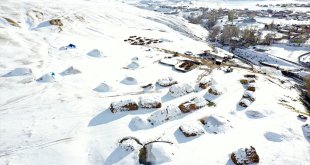 Ağrılı besicilerin kar üzerindeki mesaileri erken başladı