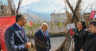 Hakkari'de çiftçilere meyve fidanı dağıtıldı