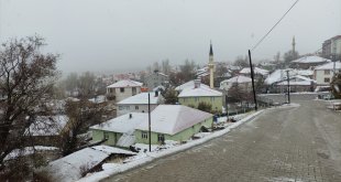 Karlıova'da kar yağışı ve sis etkili oldu