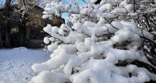 Ağrı'da 66 köy yolu kar nedeniyle ulaşıma kapandı