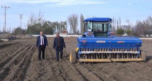 Iğdır'da yerli ve milli buğday ekildi