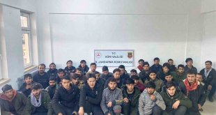 Doğubayazıt'ta 36 düzensiz göçmen yakalandı, 1 kişi gözaltına alındı