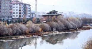 Ardahan'da soğuk hava etkili oluyor