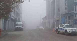 Malazgirt'te soğuk hava ve sis etkili oldu