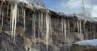 Kar olmayan kentte don etkili oluyor