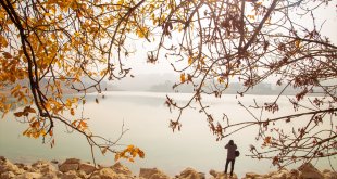Turgut Özal Tabiat Parkı'nda sonbahar renkleri hakim oldu