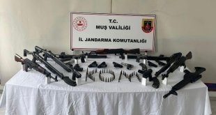 Muş'ta silah ve mühimmat operasyonu: 5 tutuklama