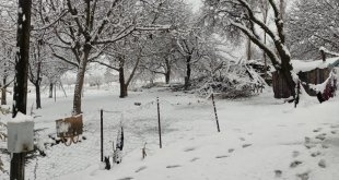 Malatya'nın Darende ilçesinde kar yağışı etkili oldu